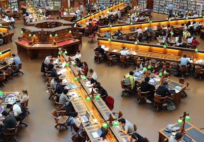 Student working on assignments in library