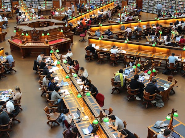 Students studying in library